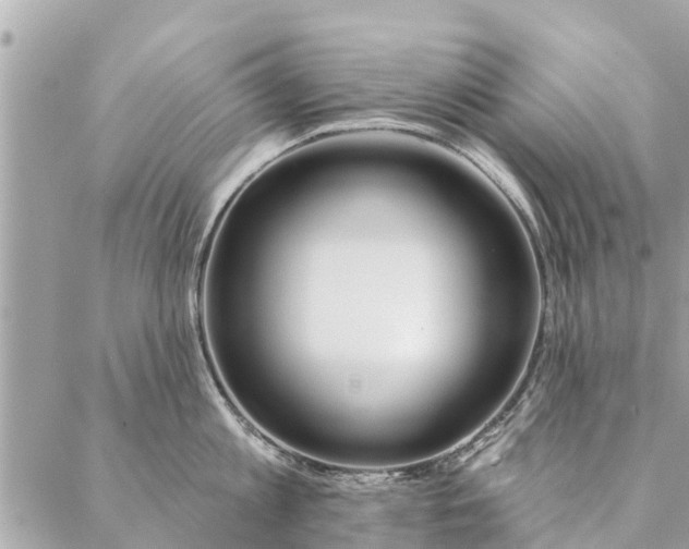 X0000087380813200705041944