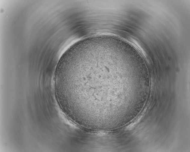 X0000087380814200705041944