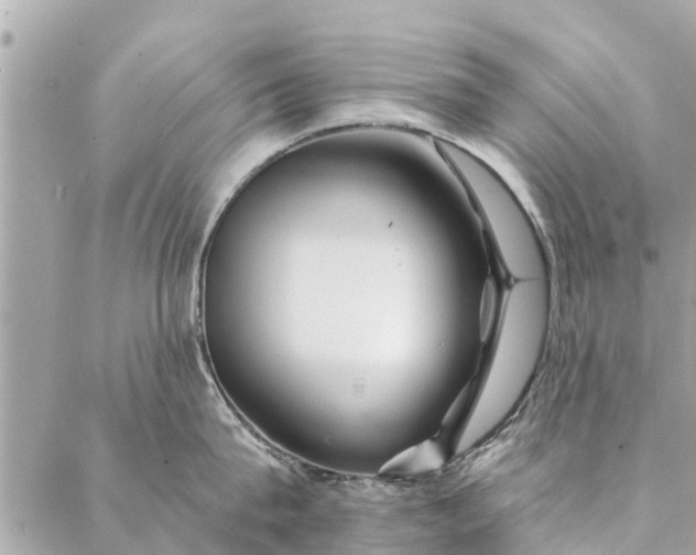 X0000087380815200705041944