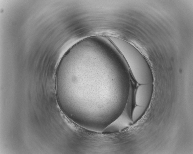 X0000087380816200705041944