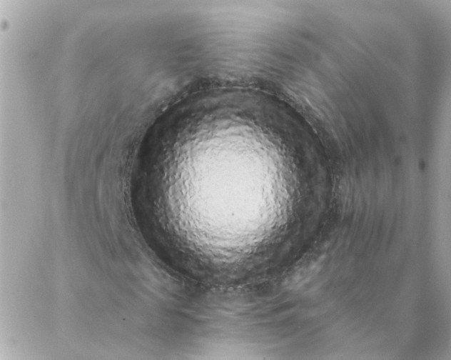 X0000087380817200705041943