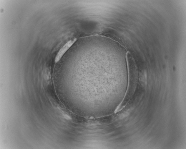 X0000087380818200705041943