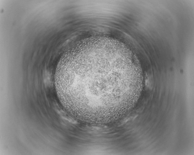 X0000087380819200705041943