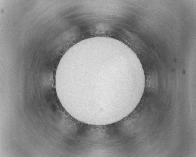 X0000087380820200705041943