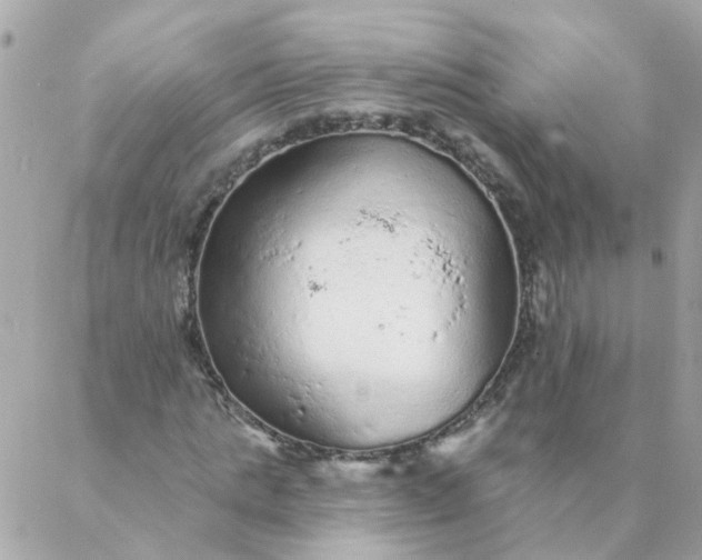 X0000087380821200705041943