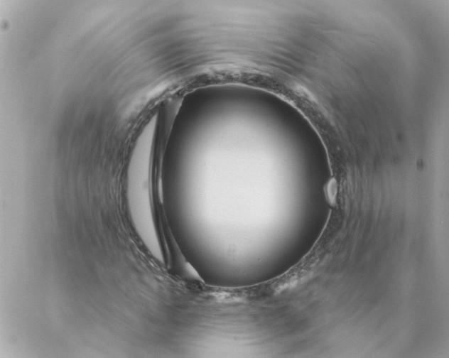 X0000087380822200705041943