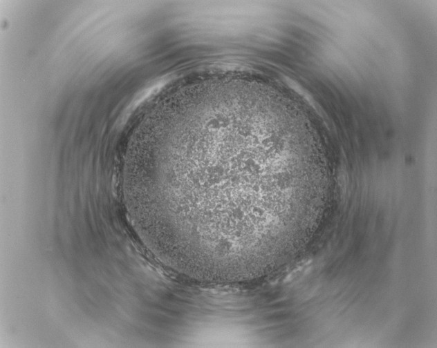 X0000087380823200705041943