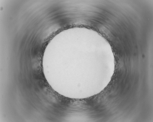 X0000087380824200705041943