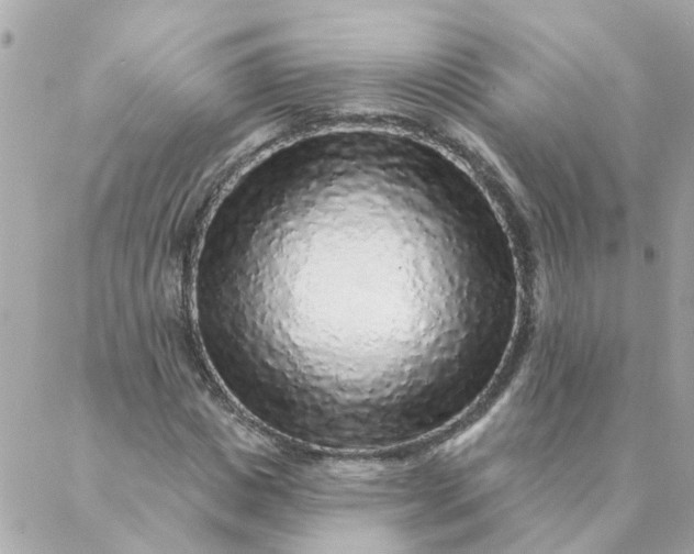 X0000087380825200705041943