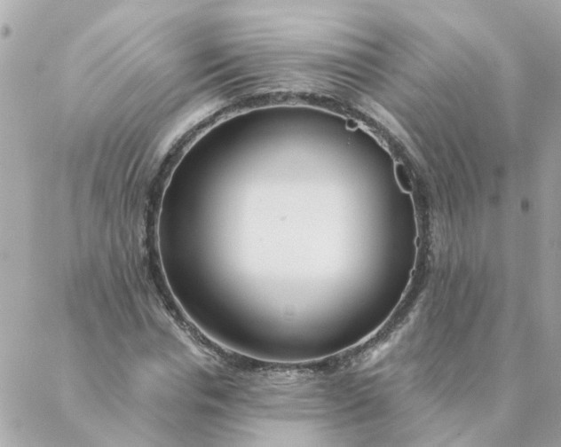 X0000087380826200705041943