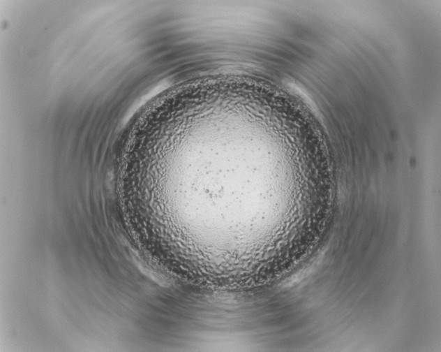 X0000087380827200705041943