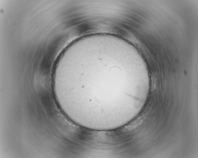 X0000087380828200705041943