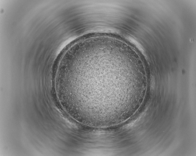 X0000087380829200705041943