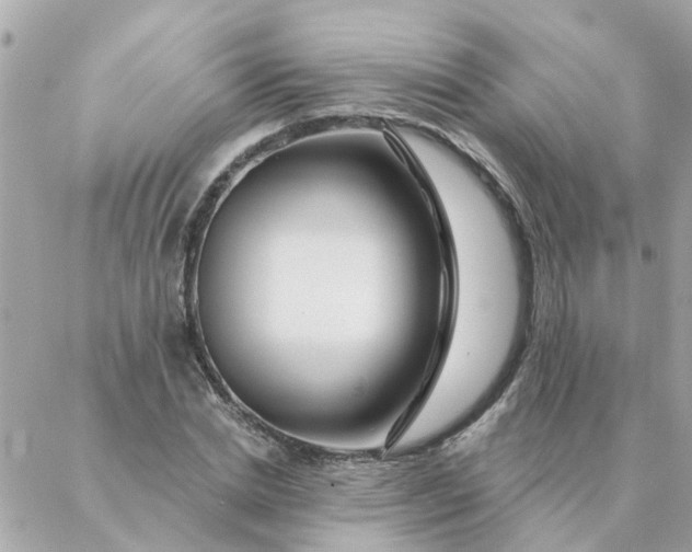 X0000087380830200705041943