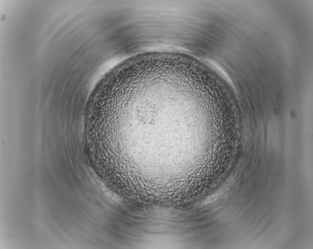 X0000087380831200705041943