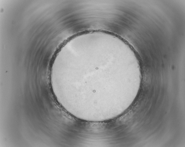 X0000087380832200705041943