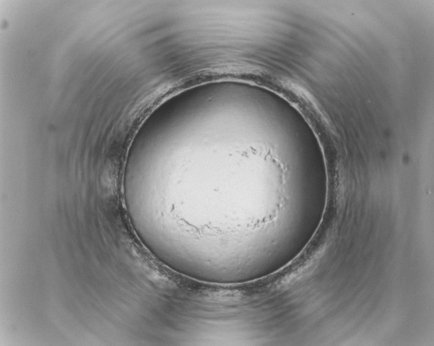 X0000087380833200705041943