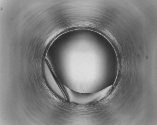 X0000087380834200705041943