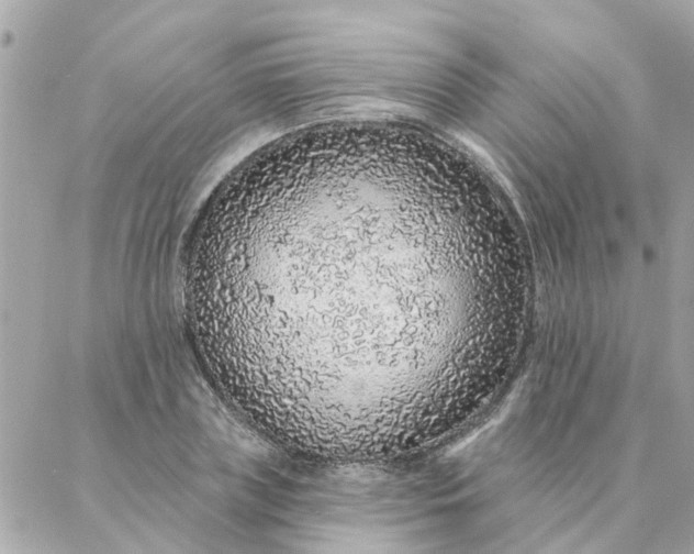 X0000087380835200705041943