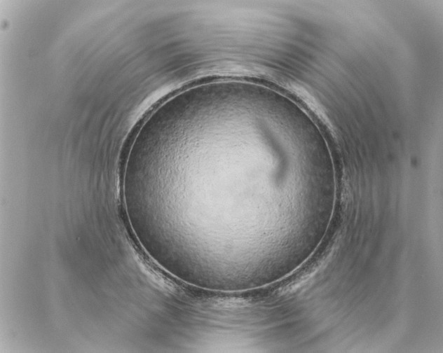 X0000087380837200705041943