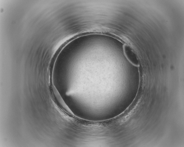 X0000087380838200705041943