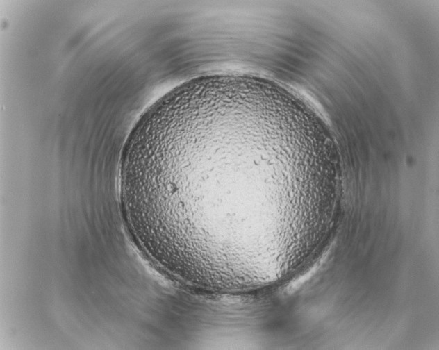 X0000087380839200705041943