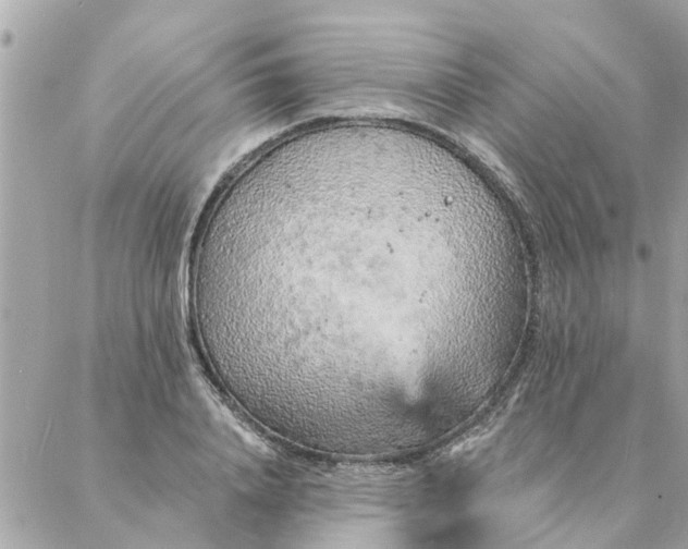 X0000087380840200705041943