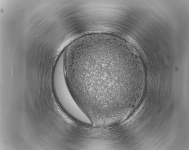 X0000087380842200705041943