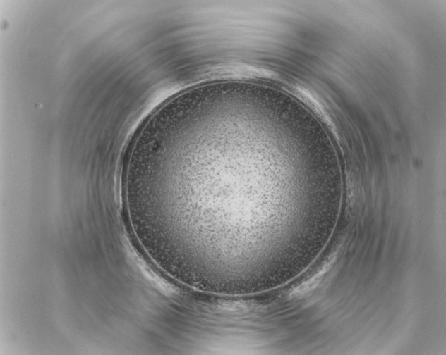 X0000087380843200705041943