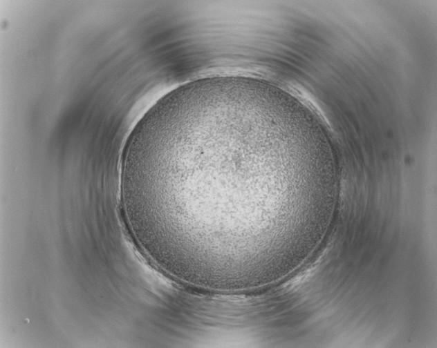 X0000087380844200705041943