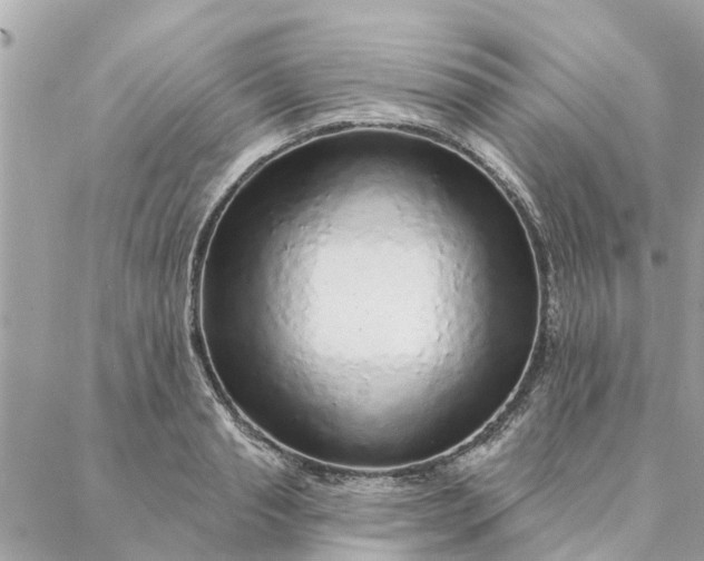 X0000087380845200705041943