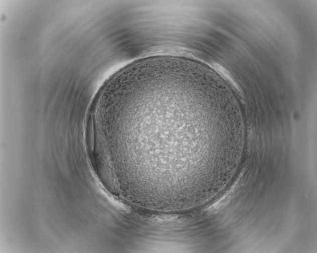 X0000087380846200705041943