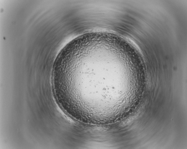 X0000087380847200705041943