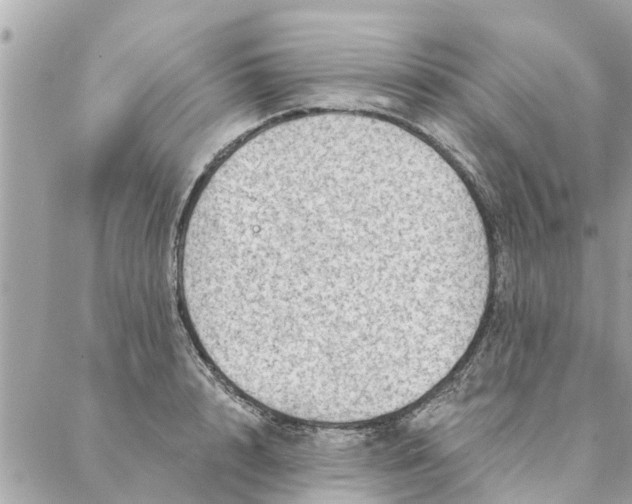 X0000087380848200705041943