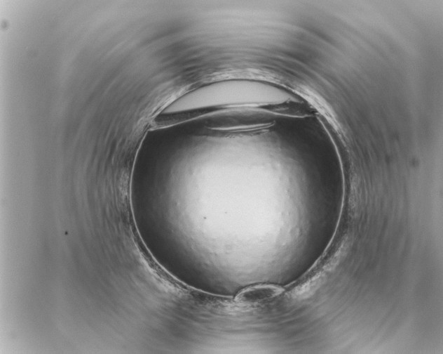 X0000087380849200705041943