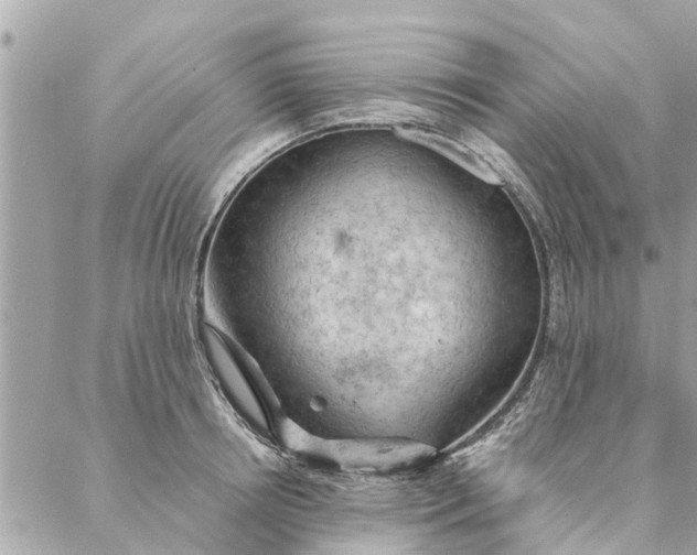 X0000087380850200705041943