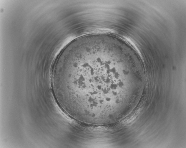 X0000087380851200705041943