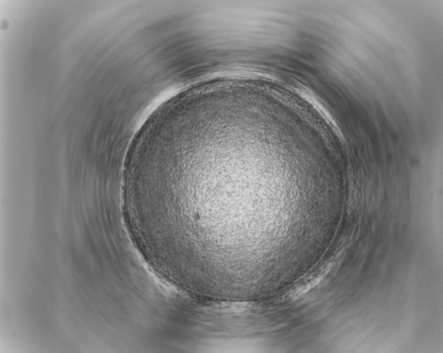 X0000087380853200705041943