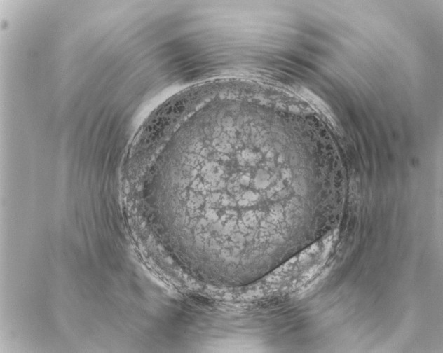 X0000087380854200705041943