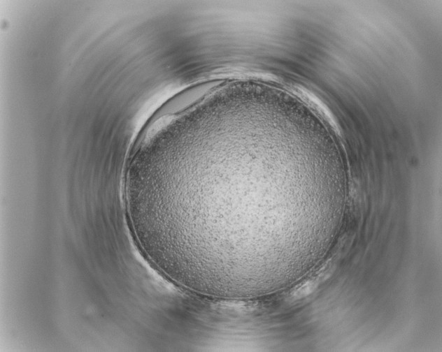 X0000087380855200705041943