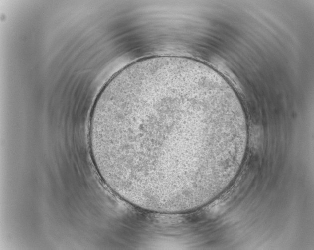 X0000087380856200705041943