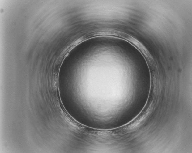 X0000087380857200705041943