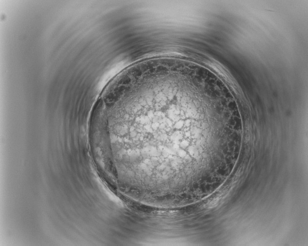 X0000087380858200705041943