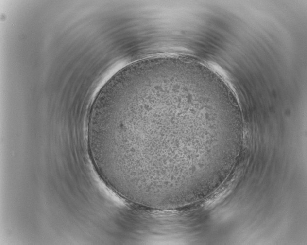 X0000087380859200705041943