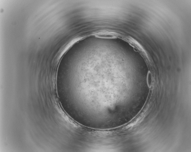 X0000087380860200705041943