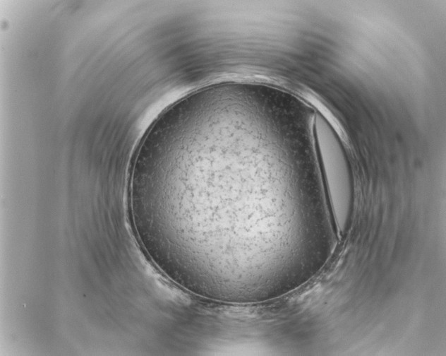 X0000087380861200705041943