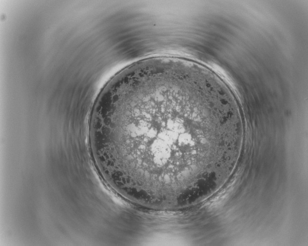 X0000087380862200705041943