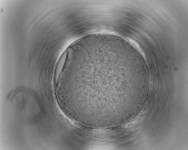 X0000087380863200705041943