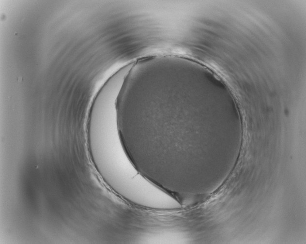 X0000087380864200705041944