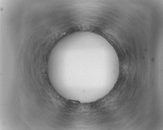 X0000087380865200705041943